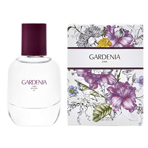 gardenia zara|Gardenia Zara parfum